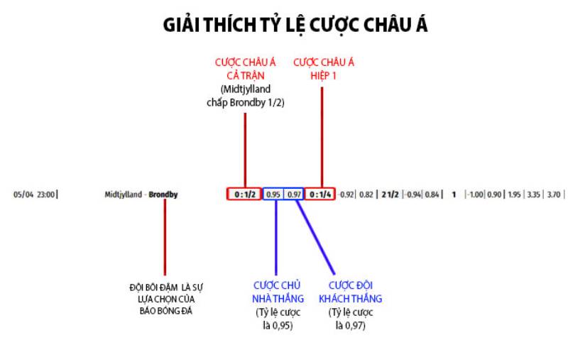 Cách tính kèo chấp ½ và cách áp dụng